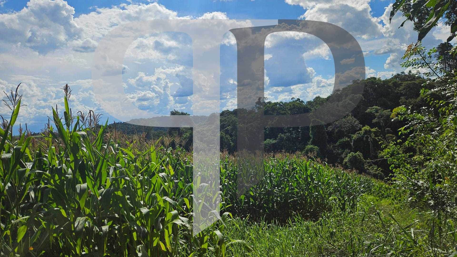Área de 36.400m  para chácara com bosque e córrego em Catanduv...