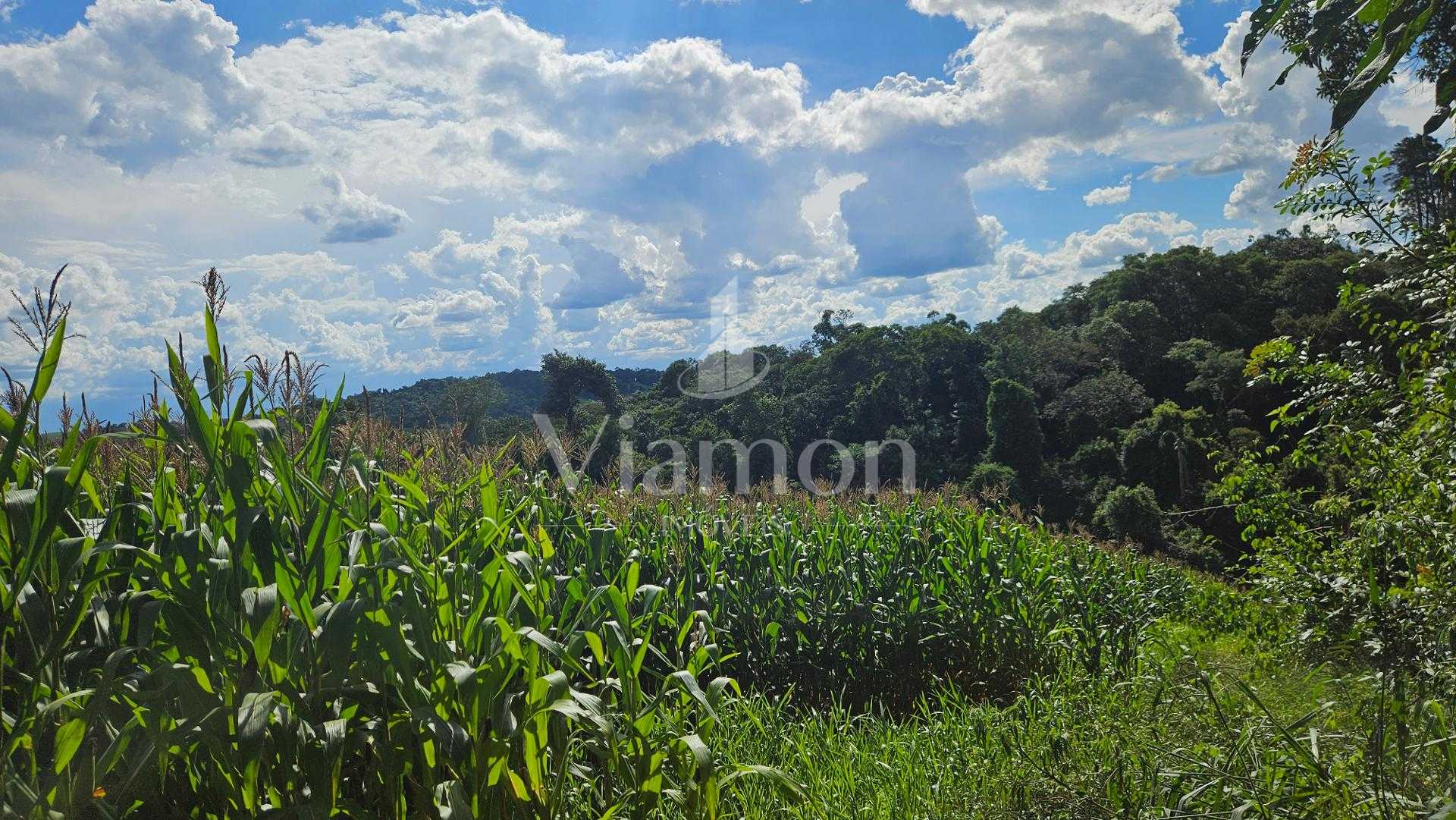Área de 36.400m  para chácara com bosque e córrego em Catanduv...