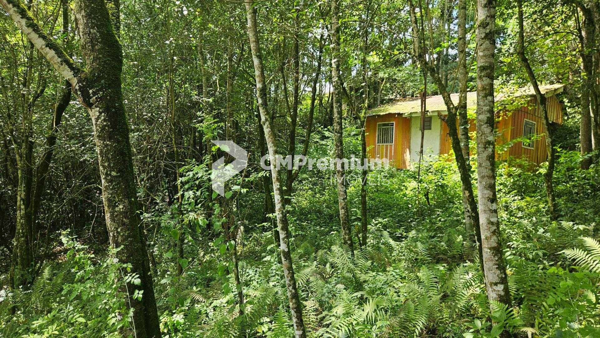 Terreno urbano de 11.000 m  com nascente e bosque a 14 km de C...