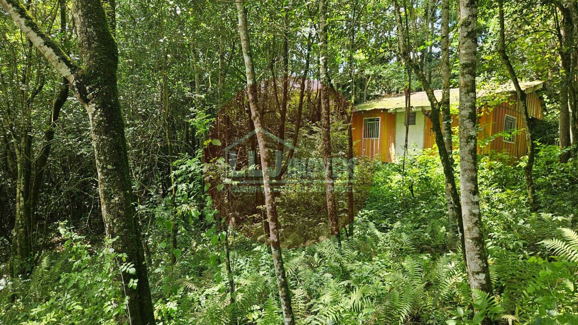 Terreno urbano de 11.000 m  com nascente e bosque a 14 km de Curitiba