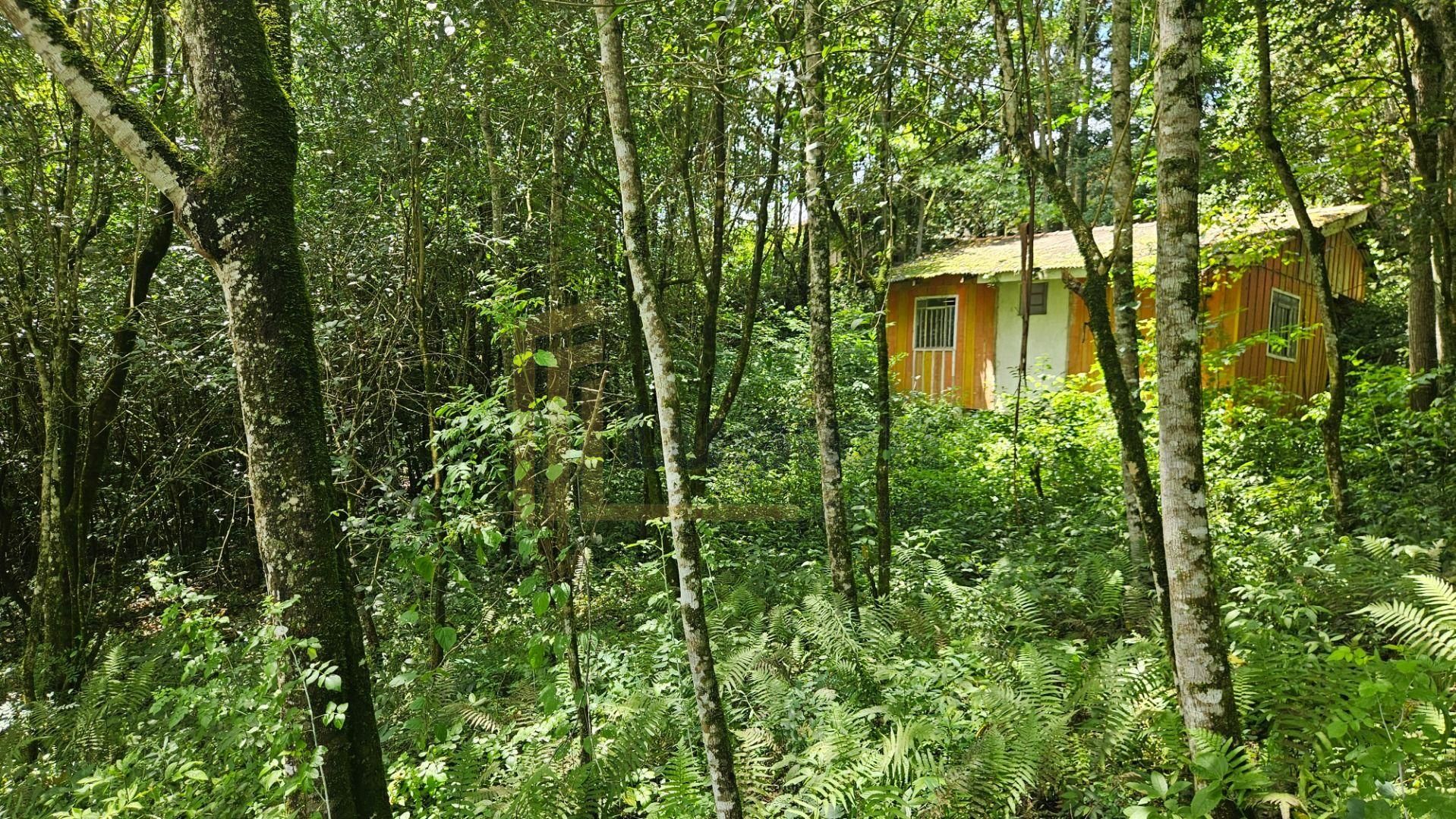 Terreno urbano de 11.000 m  com nascente e bosque a 14 km de C...