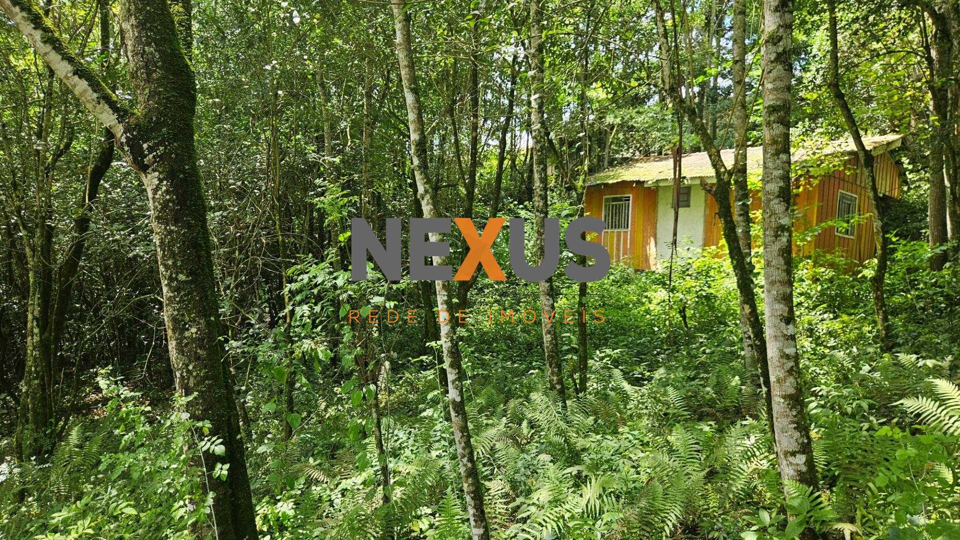 Terreno urbano de 11.000 m  com nascente e bosque a 14 km de C...