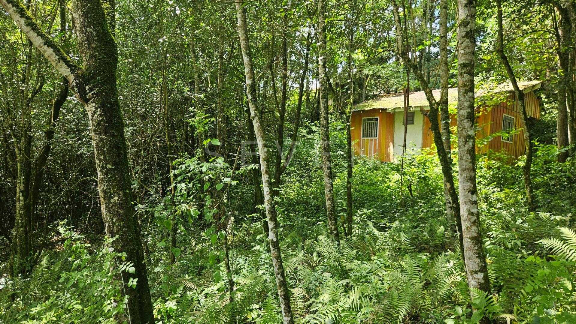 Terreno urbano de 11.000 m  com nascente e bosque a 14 km de C...