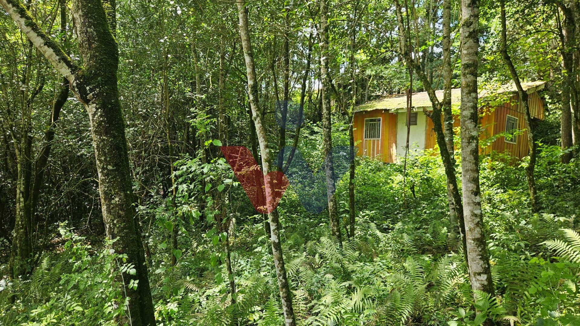 Sala Comercial ? venda, com vaga de garagem, no Bigorrilho, CU...