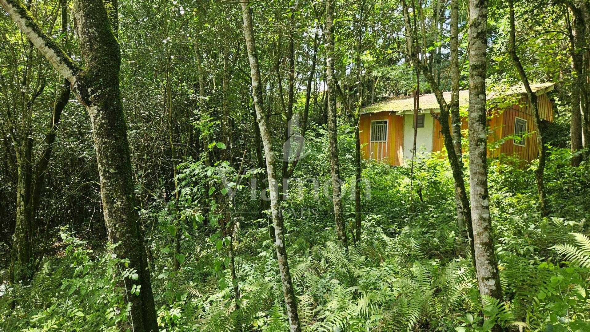 Terreno urbano de 11.000 m  com nascente e bosque a 14 km de C...