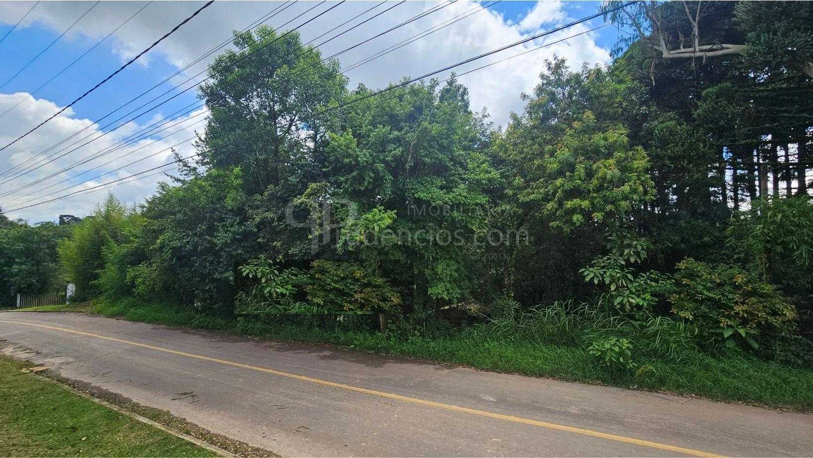 Imóvel urbano de 11.000 m  com natureza exuberante a 11 km de ...