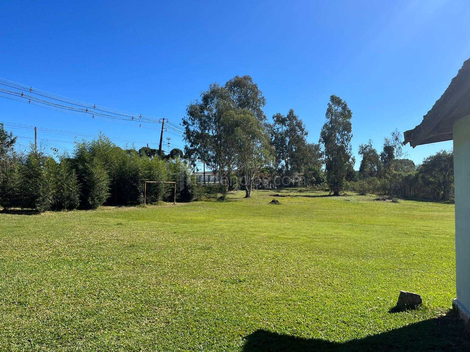 Área Industrial à Venda em Campina Grande do Sul  Investimento...