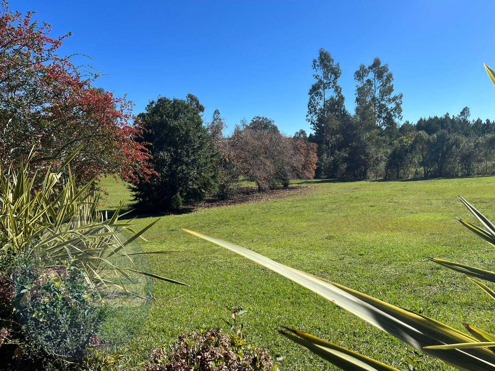 Área Industrial à Venda em Campina Grande do Sul  Investimento...