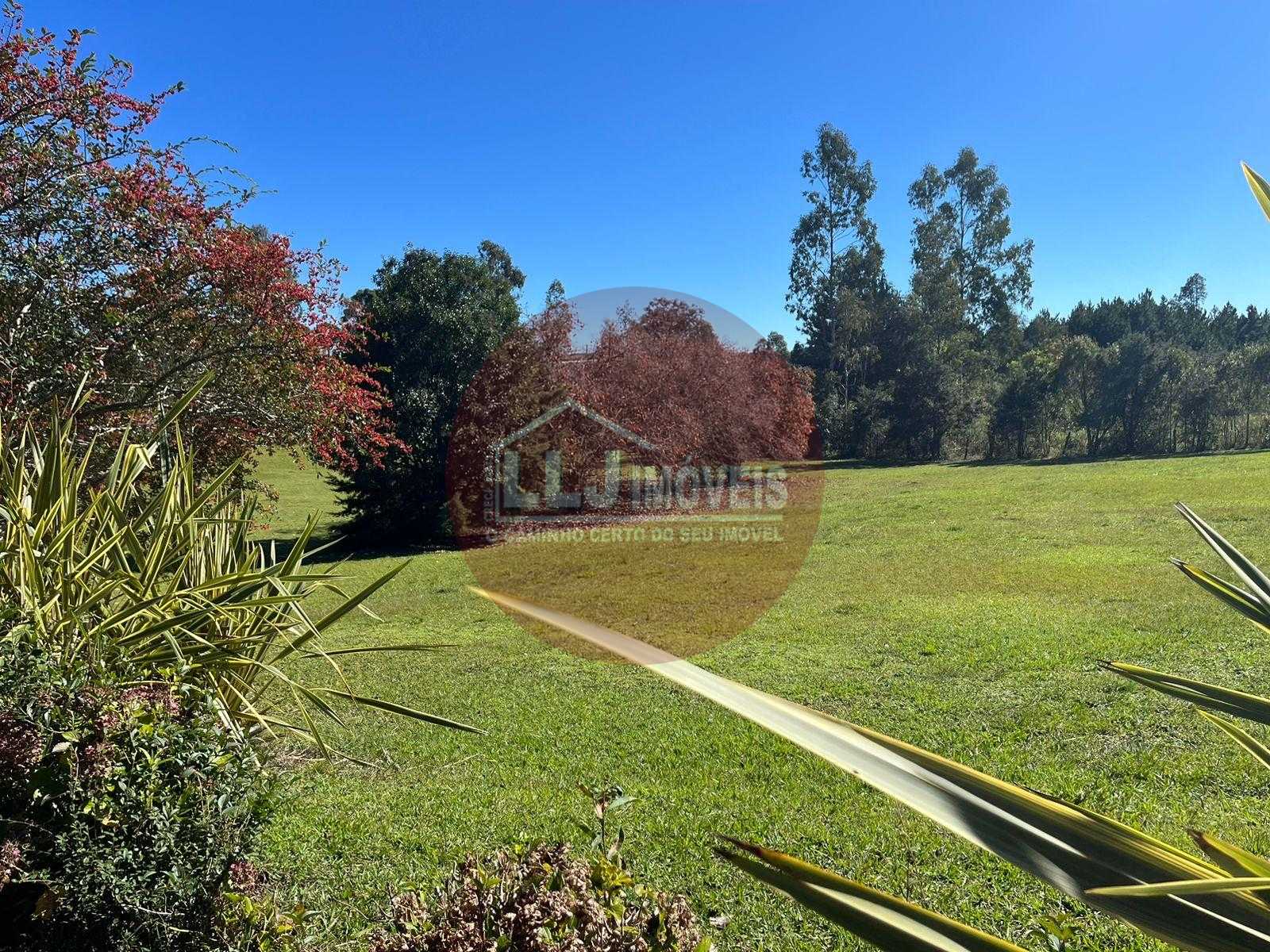 Área Industrial à Venda em Campina Grande do Sul  Investimento Estratégico