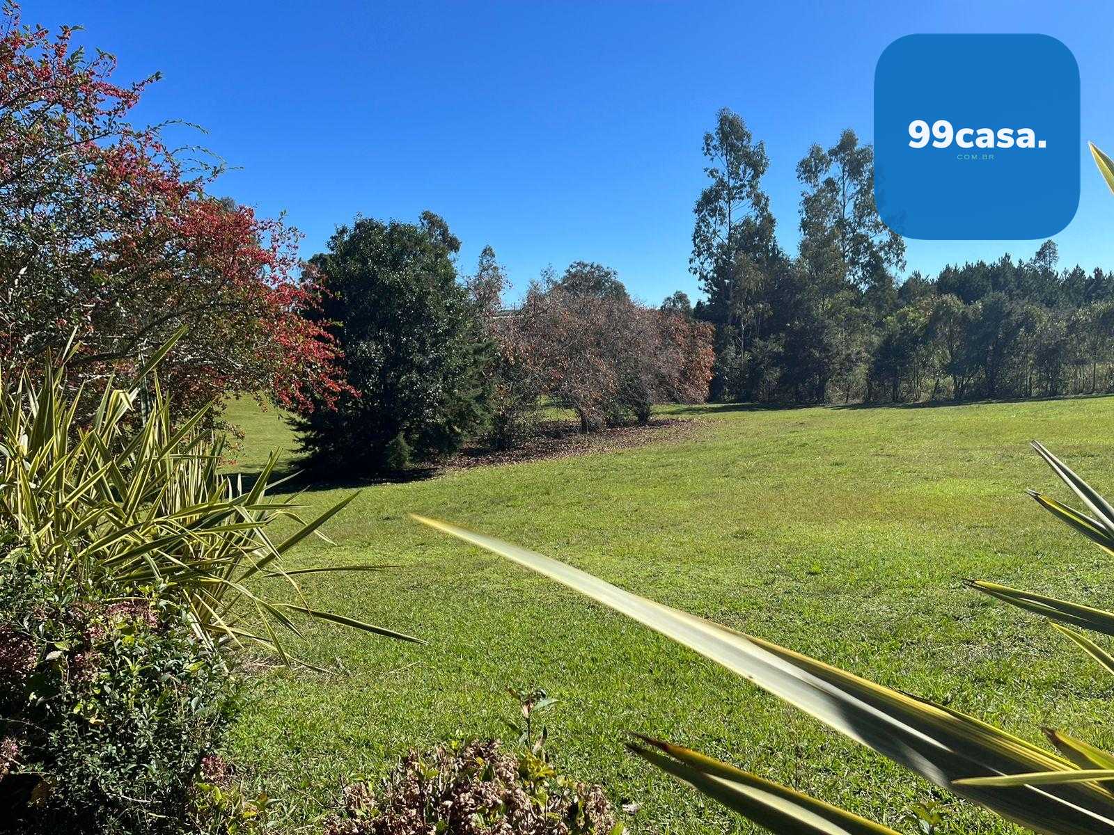 Área Industrial à Venda em Campina Grande do Sul  Investimento...