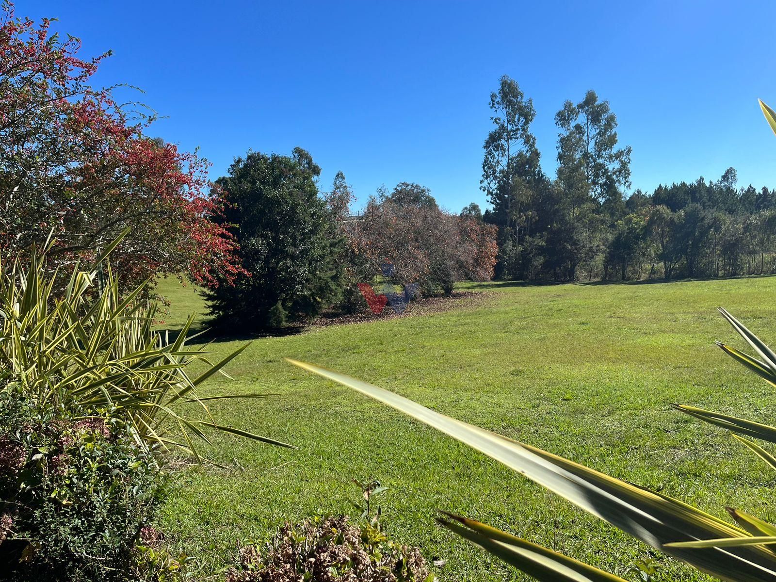 Área Industrial à Venda em Campina Grande do Sul  Investimento...