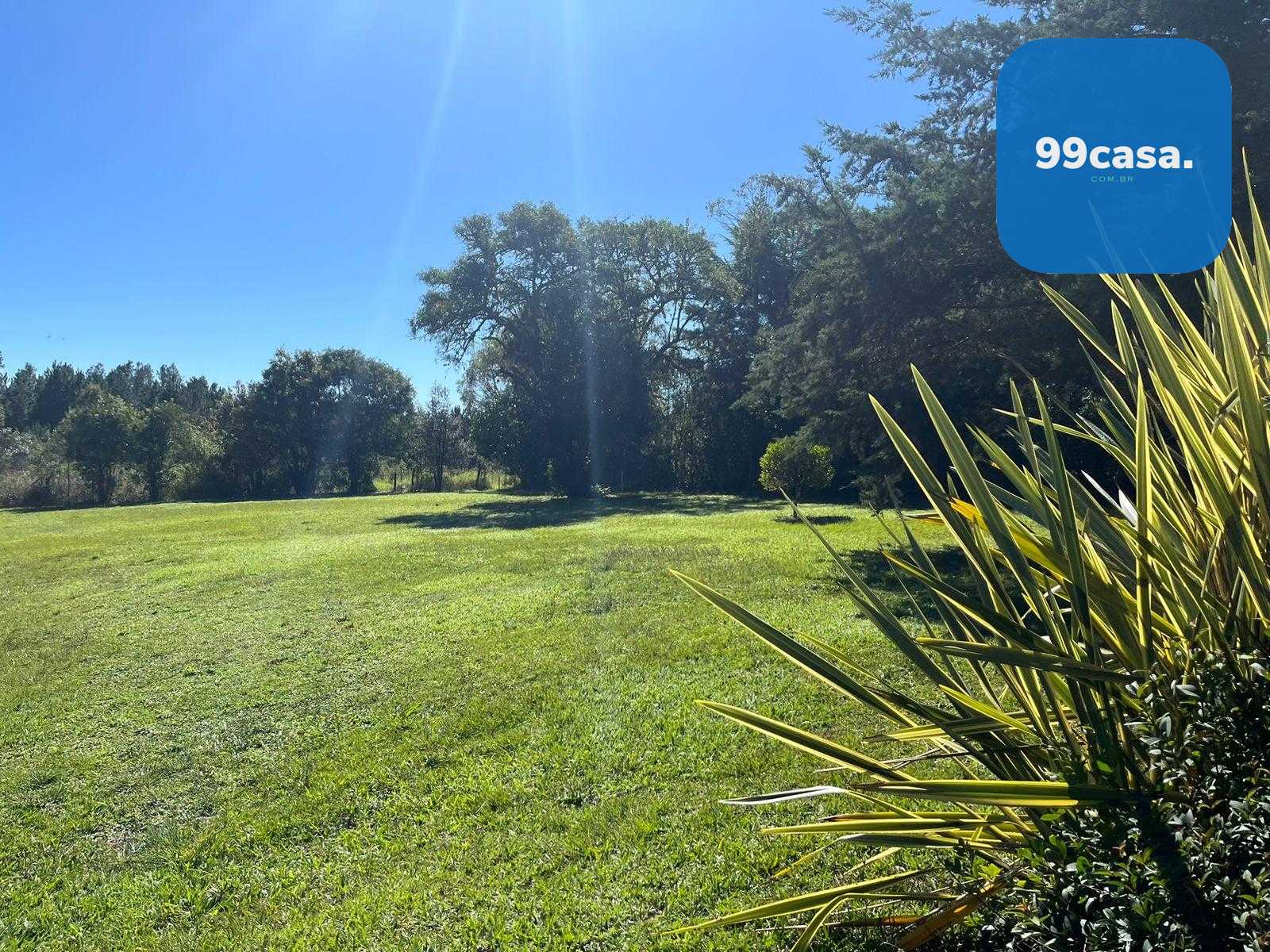 Área Industrial à Venda em Campina Grande do Sul  Investimento...