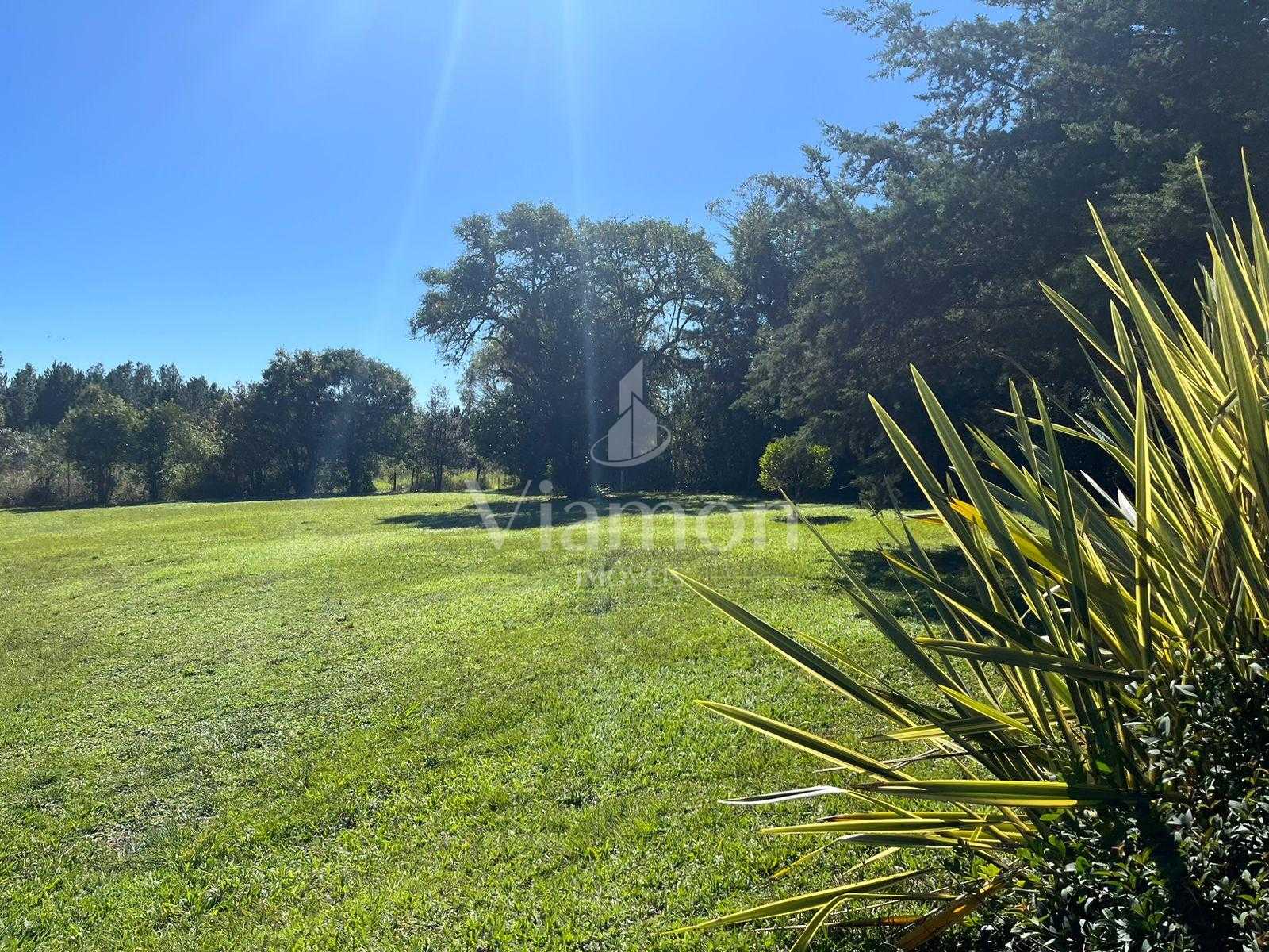 Área Industrial à Venda em Campina Grande do Sul  Investimento...