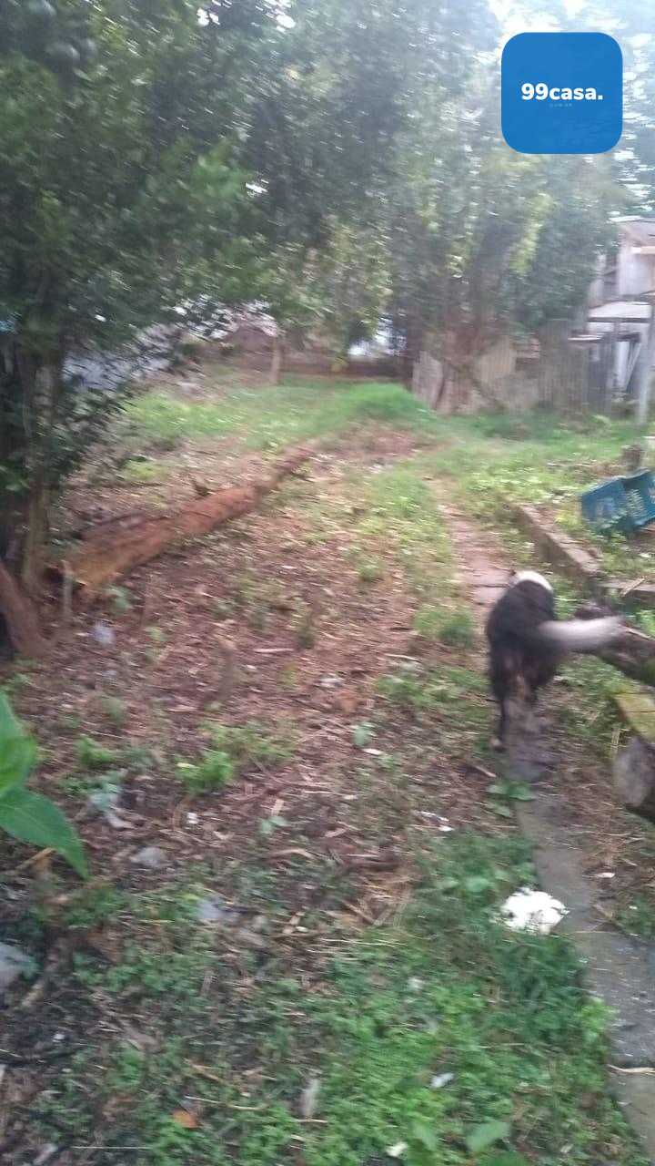 Terreno à Venda no Bairro Lindóia  480m  em Área Comercial e R...