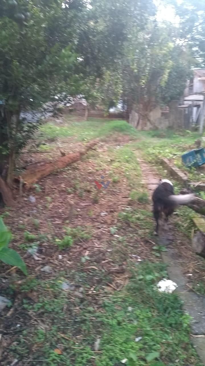 Terreno à Venda no Bairro Lindóia  480m  em Área Comercial e R...