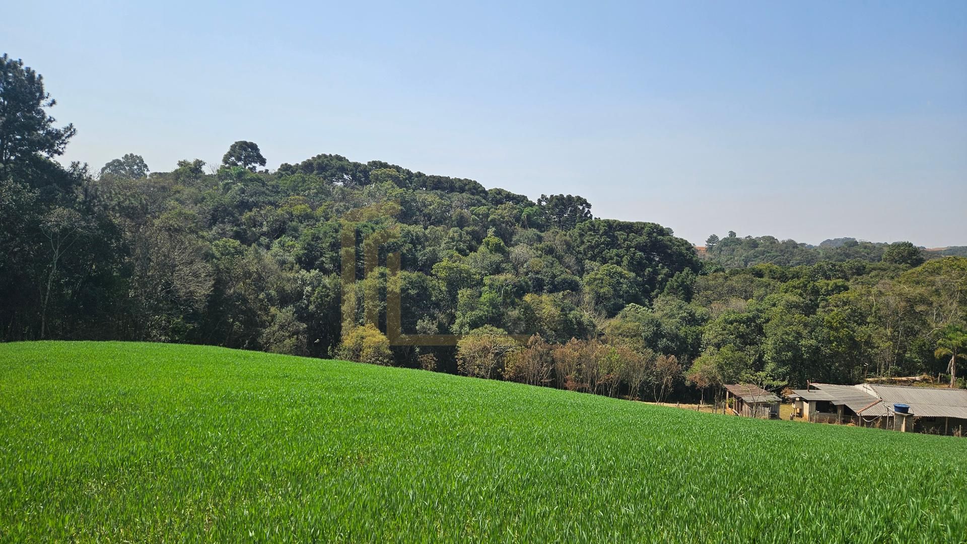 Chácara com 20.000 m  por R 499.000,00  em Araucária  Ótima Op...