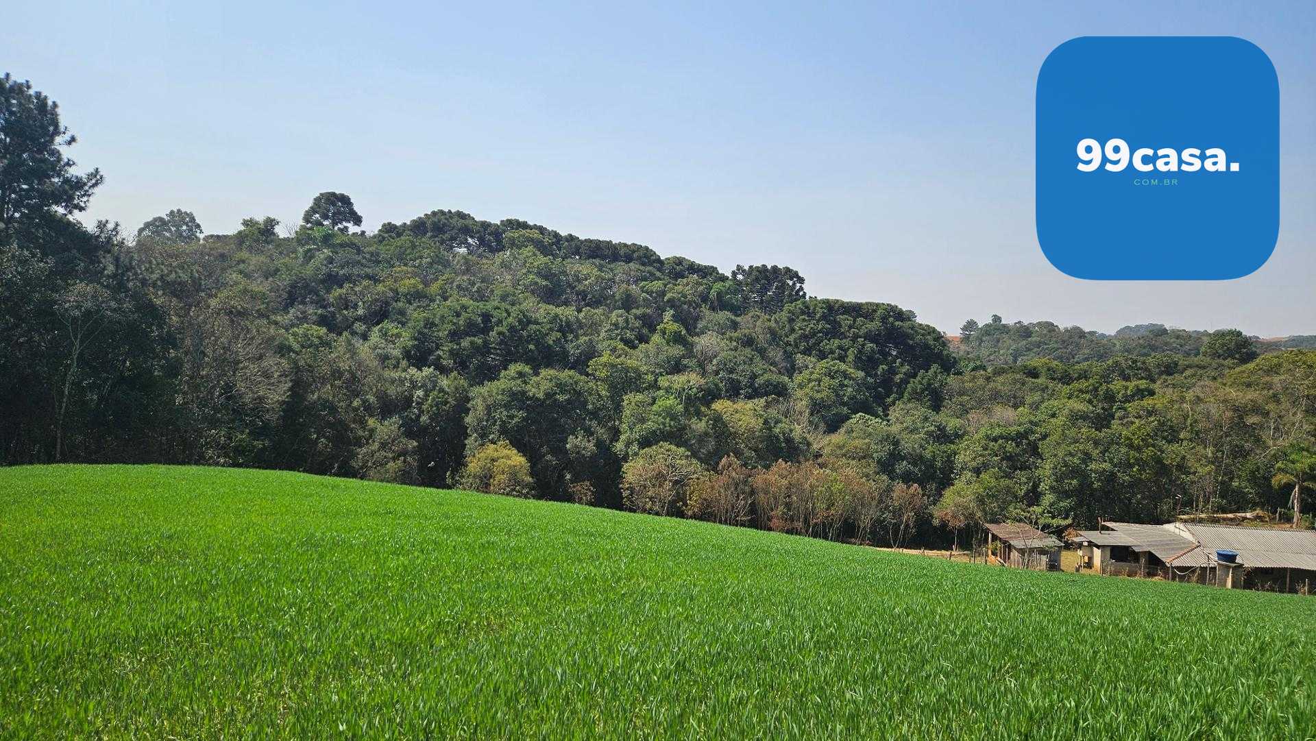 Chácara com 20.000 m  por R 499.000,00  em Araucária  Ótima Op...