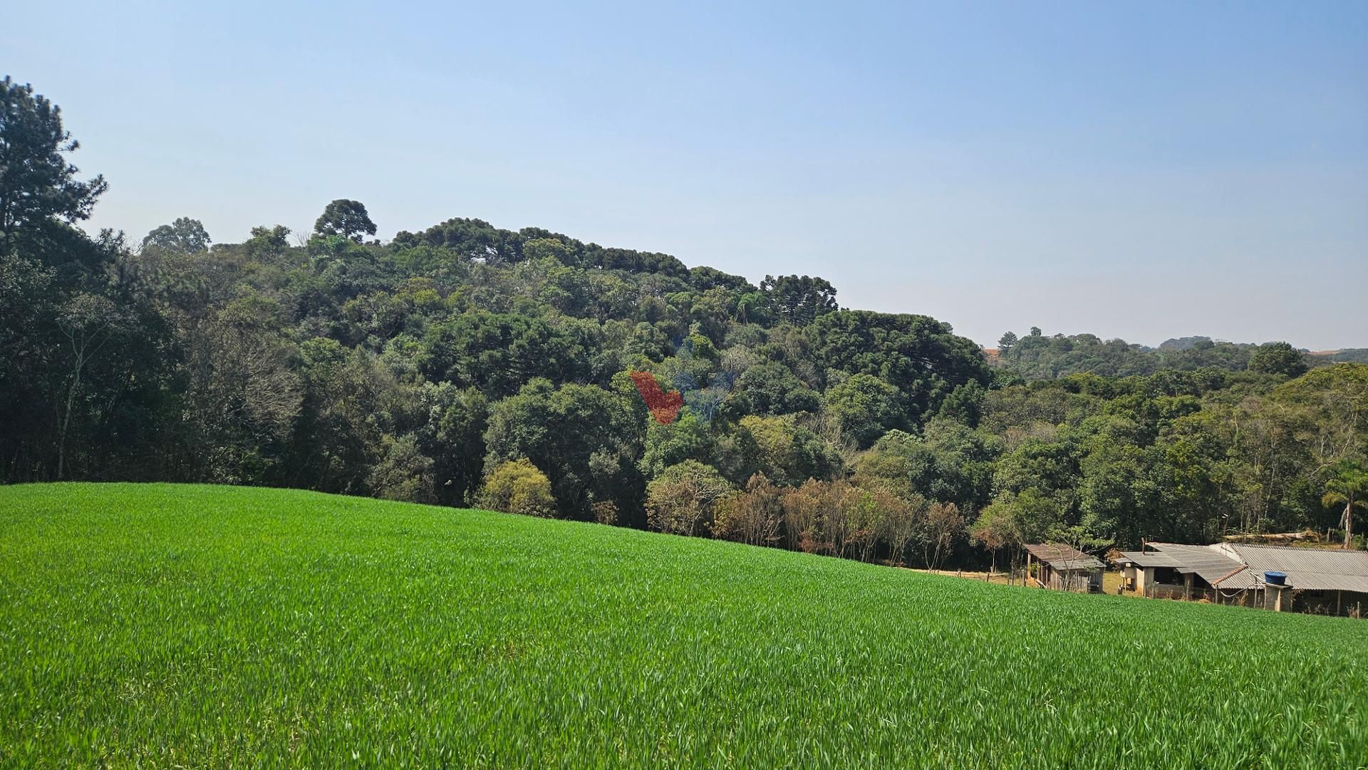 Área de 20.000 m  para Chácara Próxima a Araucária  Ótima Opor...