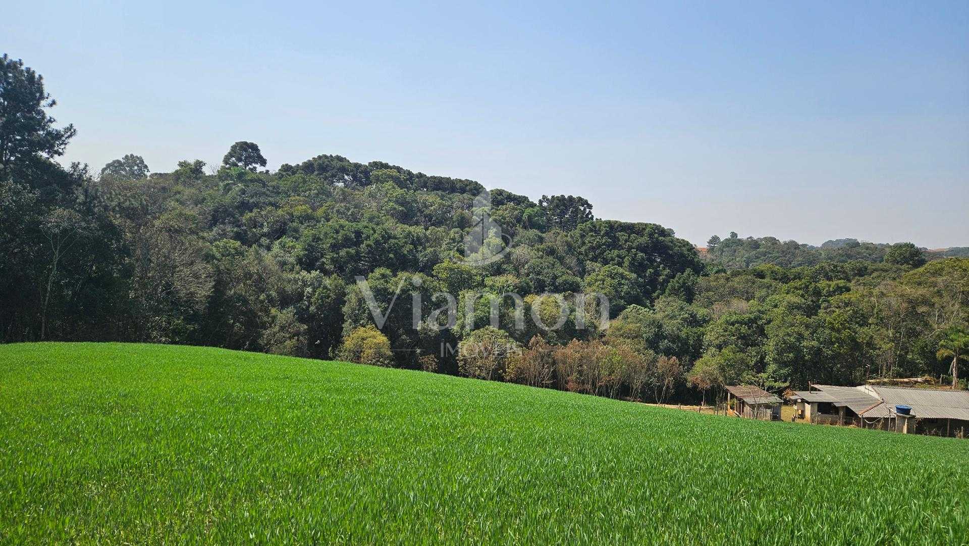 Área de 20.000 m  para Chácara Próxima a Araucária  Ótima Opor...