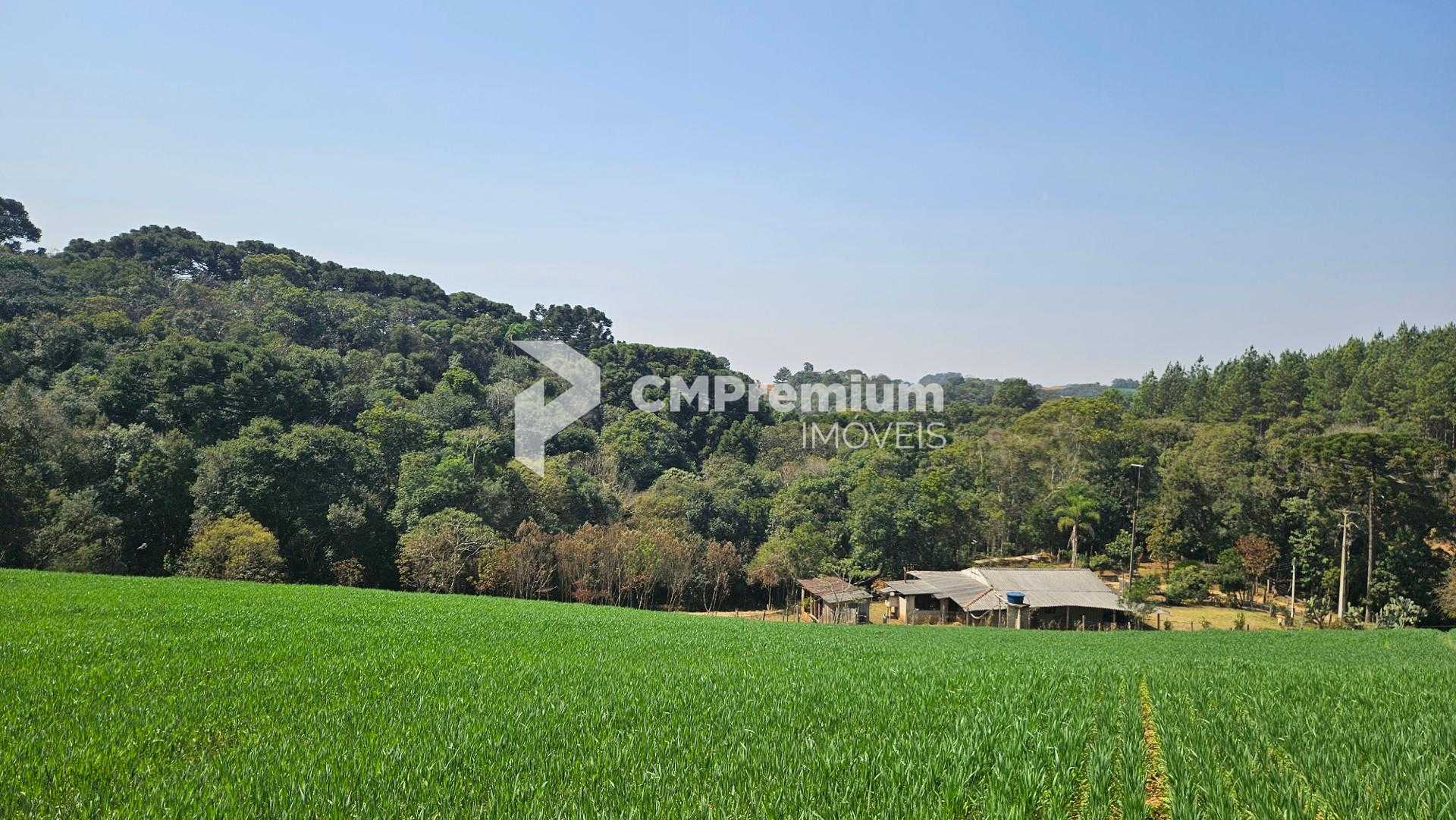 Chácara com 20.000 m  por R 499.000,00  em Araucária  Ótima Op...