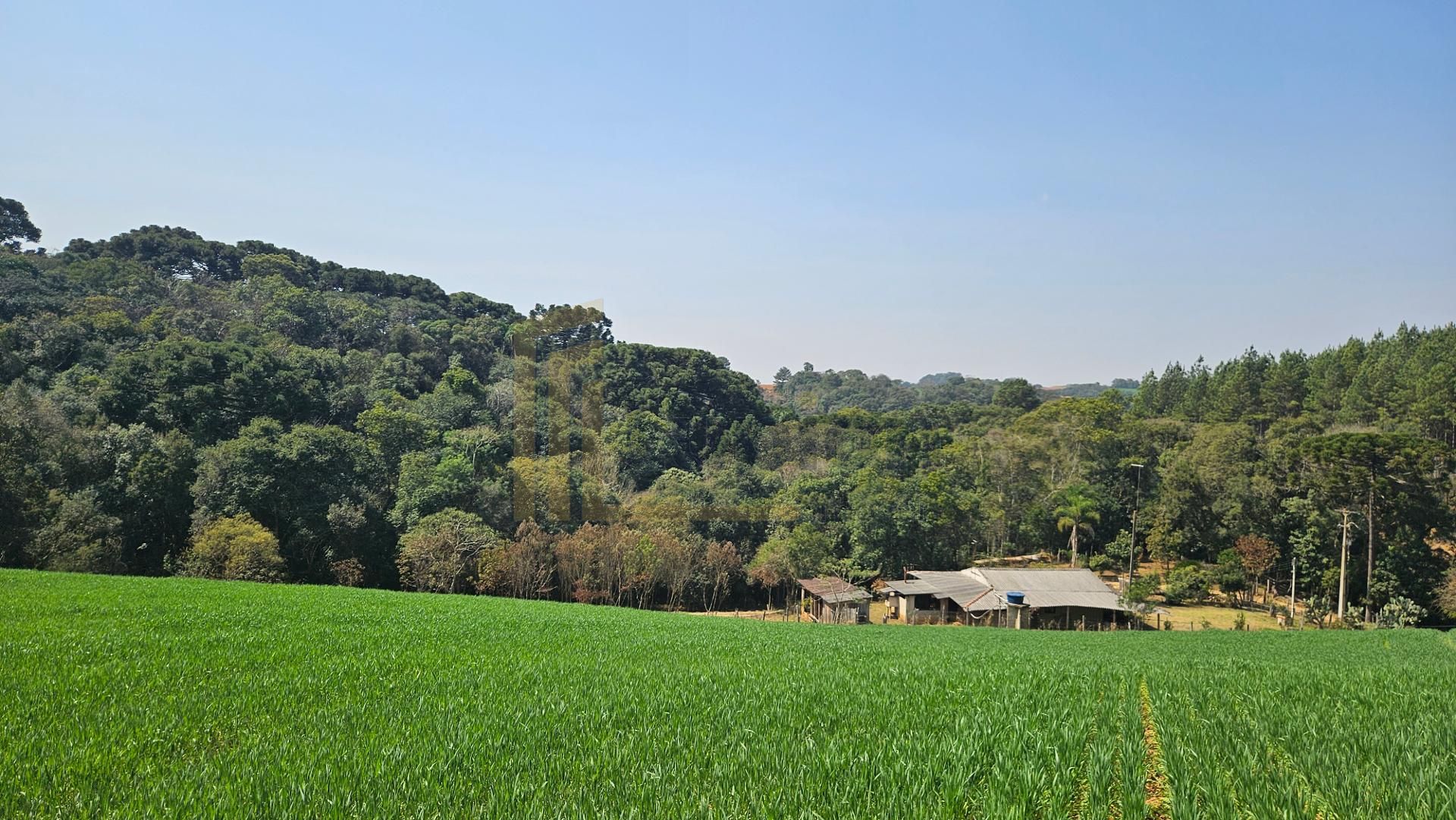 Chácara com 20.000 m  por R 499.000,00  em Araucária  Ótima Op...