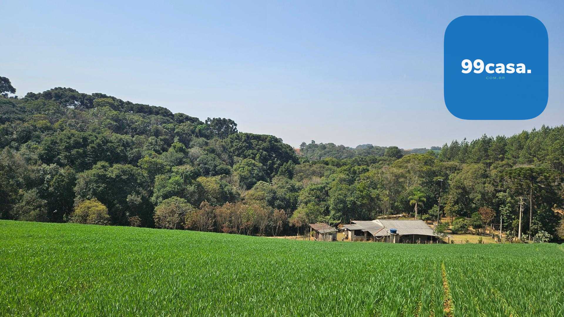 Chácara com 20.000 m  por R 499.000,00  em Araucária  Ótima Op...