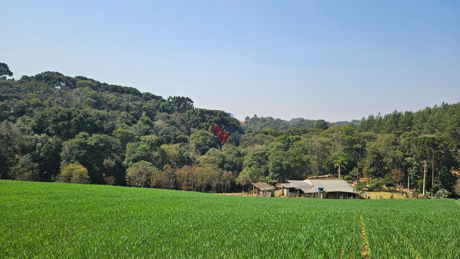 Área de 20.000 m  para Chácara Próxima a Araucária  Ótima Opor...
