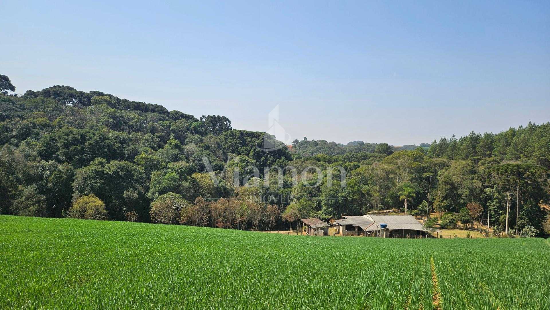 Área de 20.000 m  para Chácara Próxima a Araucária  Ótima Opor...