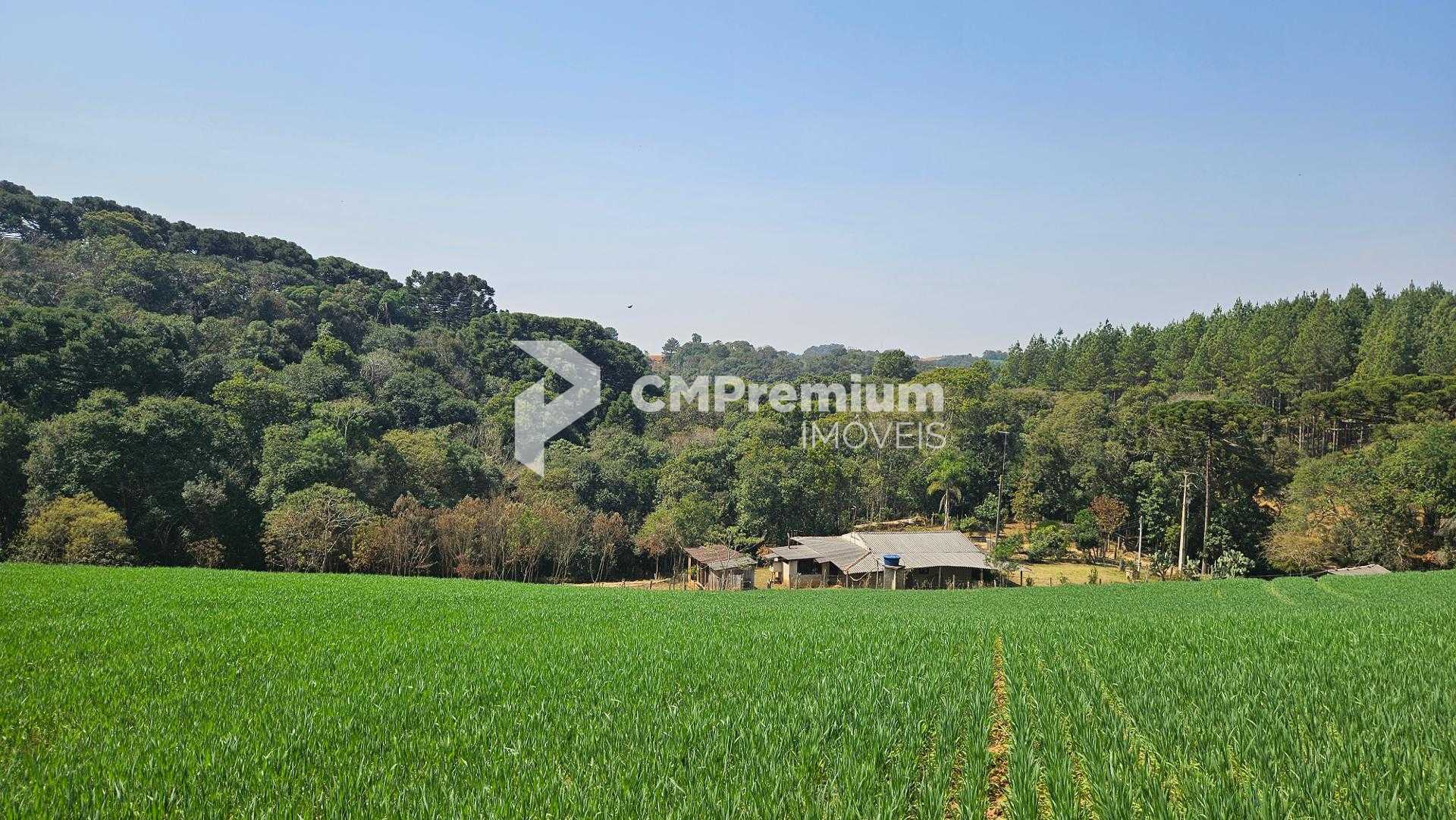 Chácara com 20.000 m  por R 499.000,00  em Araucária  Ótima Op...