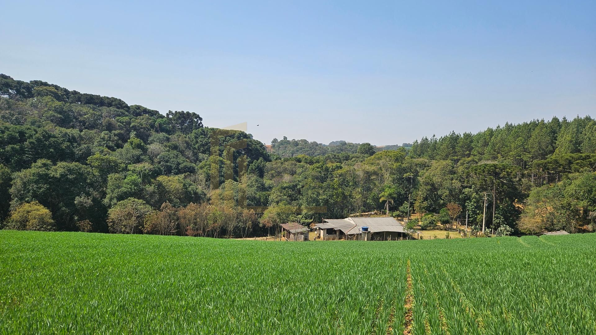 Chácara com 20.000 m  por R 499.000,00  em Araucária  Ótima Op...