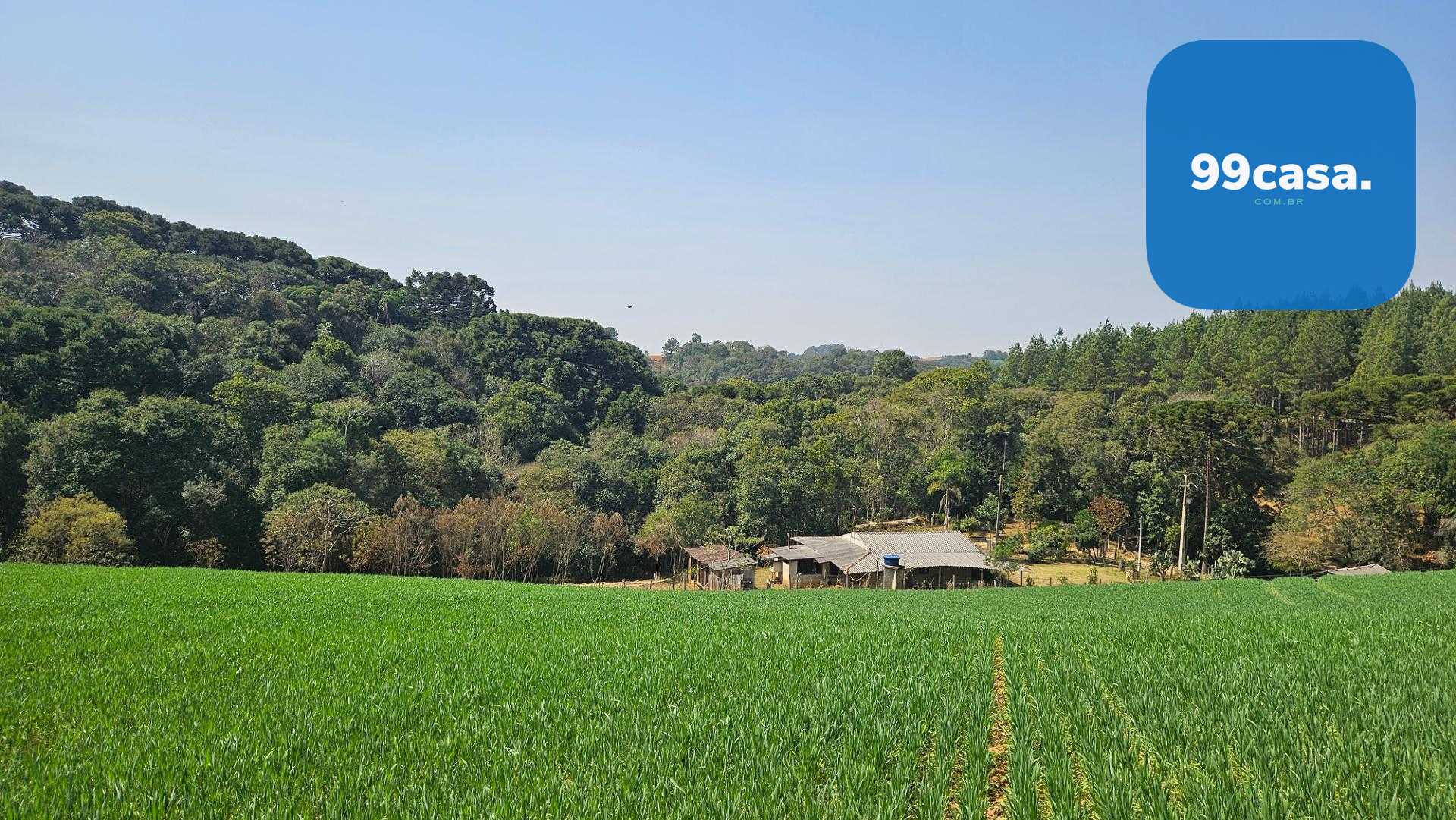 Chácara com 20.000 m  por R 499.000,00  em Araucária  Ótima Op...