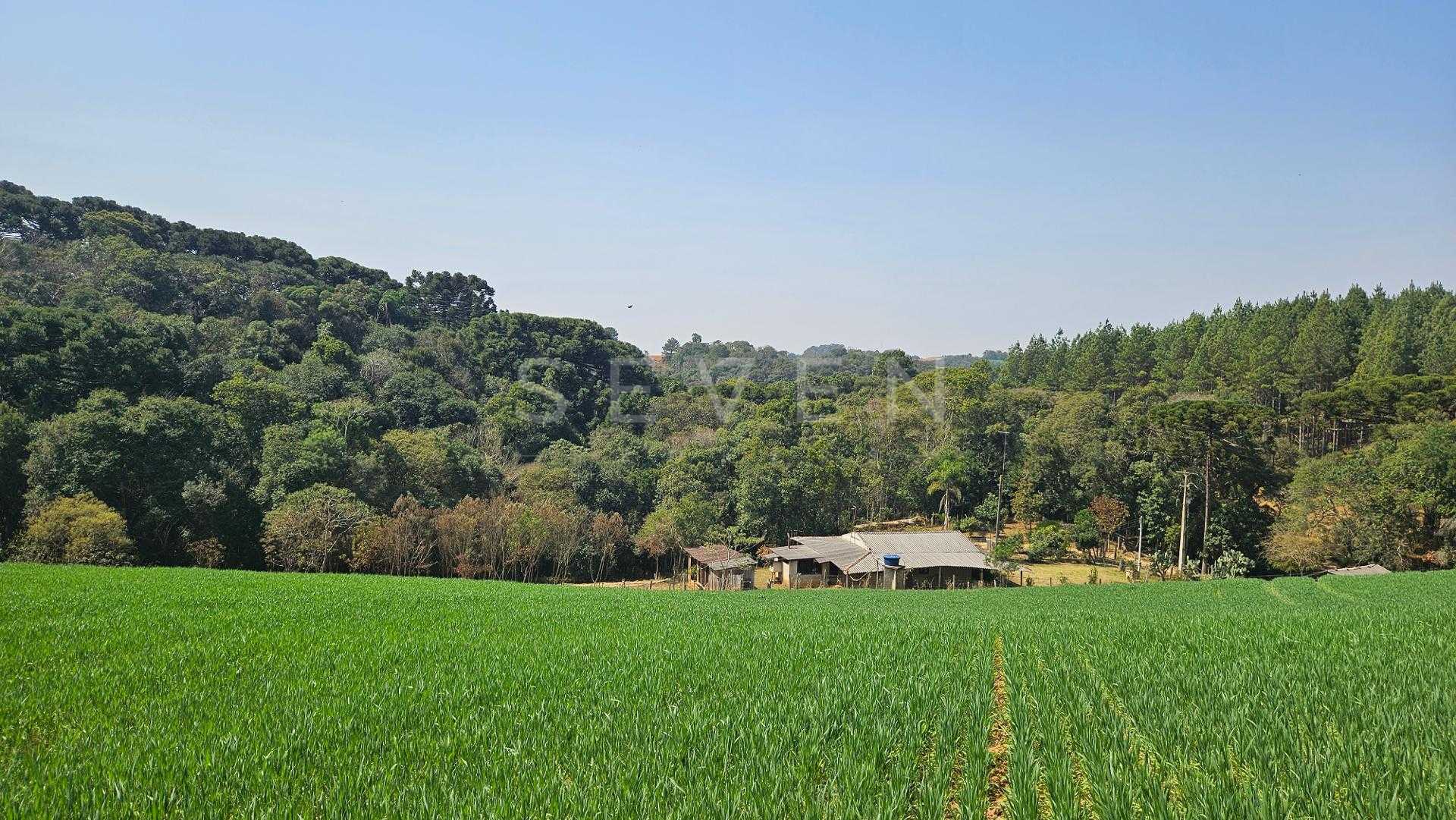 Chácara com 20.000 m  por R 499.000,00  em Araucária  Ótima Op...