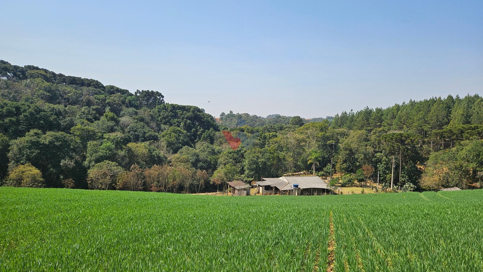 Área de 20.000 m  para Chácara Próxima a Araucária  Ótima Opor...