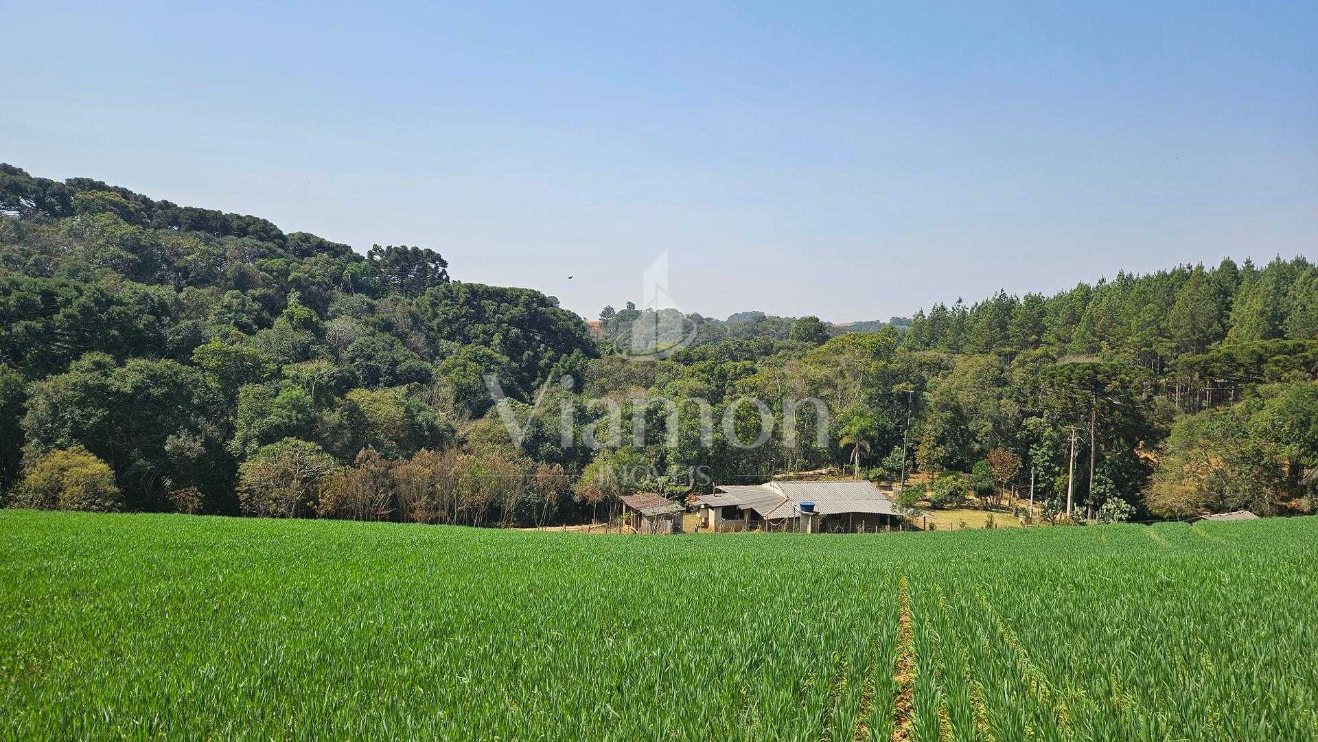 Área de 20.000 m  para Chácara Próxima a Araucária  Ótima Opor...