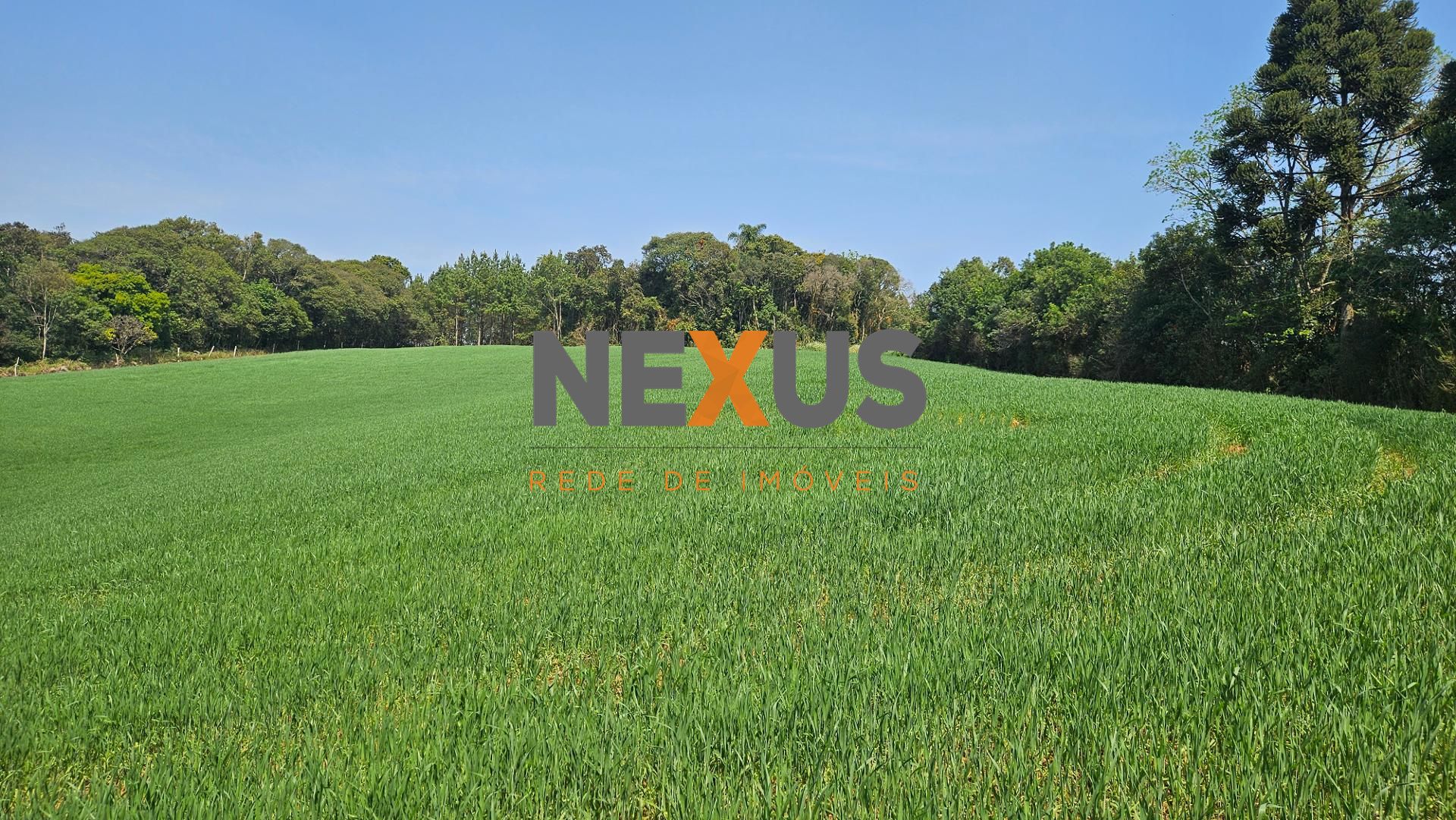 Chácara com 20.000 m por R 499.000,00 em Araucária Ótima Op...