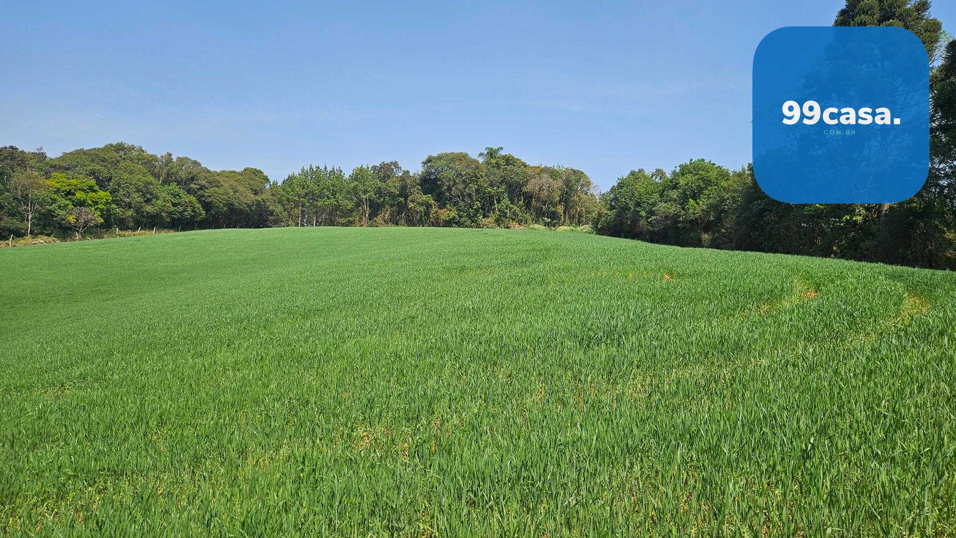 Chácara com 20.000 m  por R 499.000,00  em Araucária  Ótima Op...