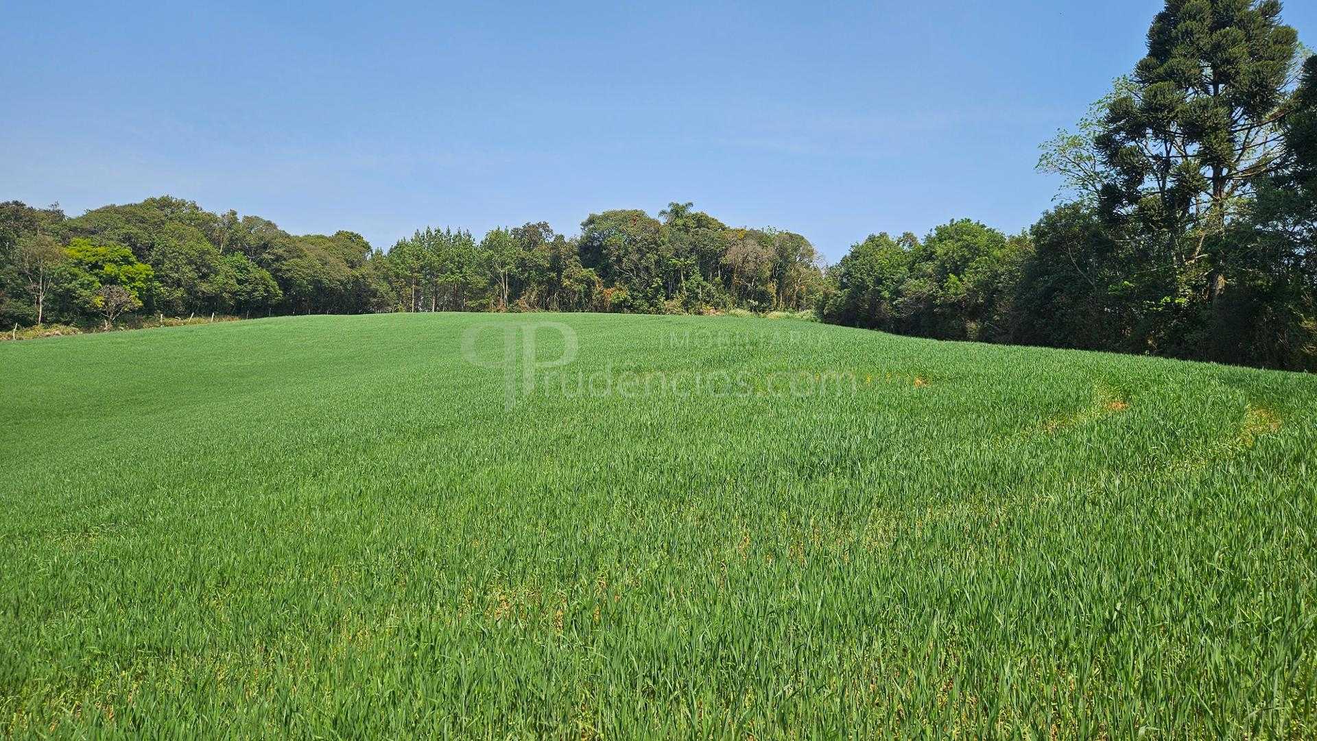 Chácara com 20.000 m  por R 499.000,00  em Araucária  Ótima Op...