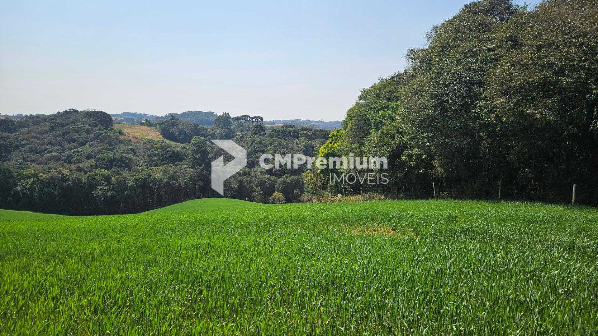 Chácara com 20.000 m  por R 499.000,00  em Araucária  Ótima Op...