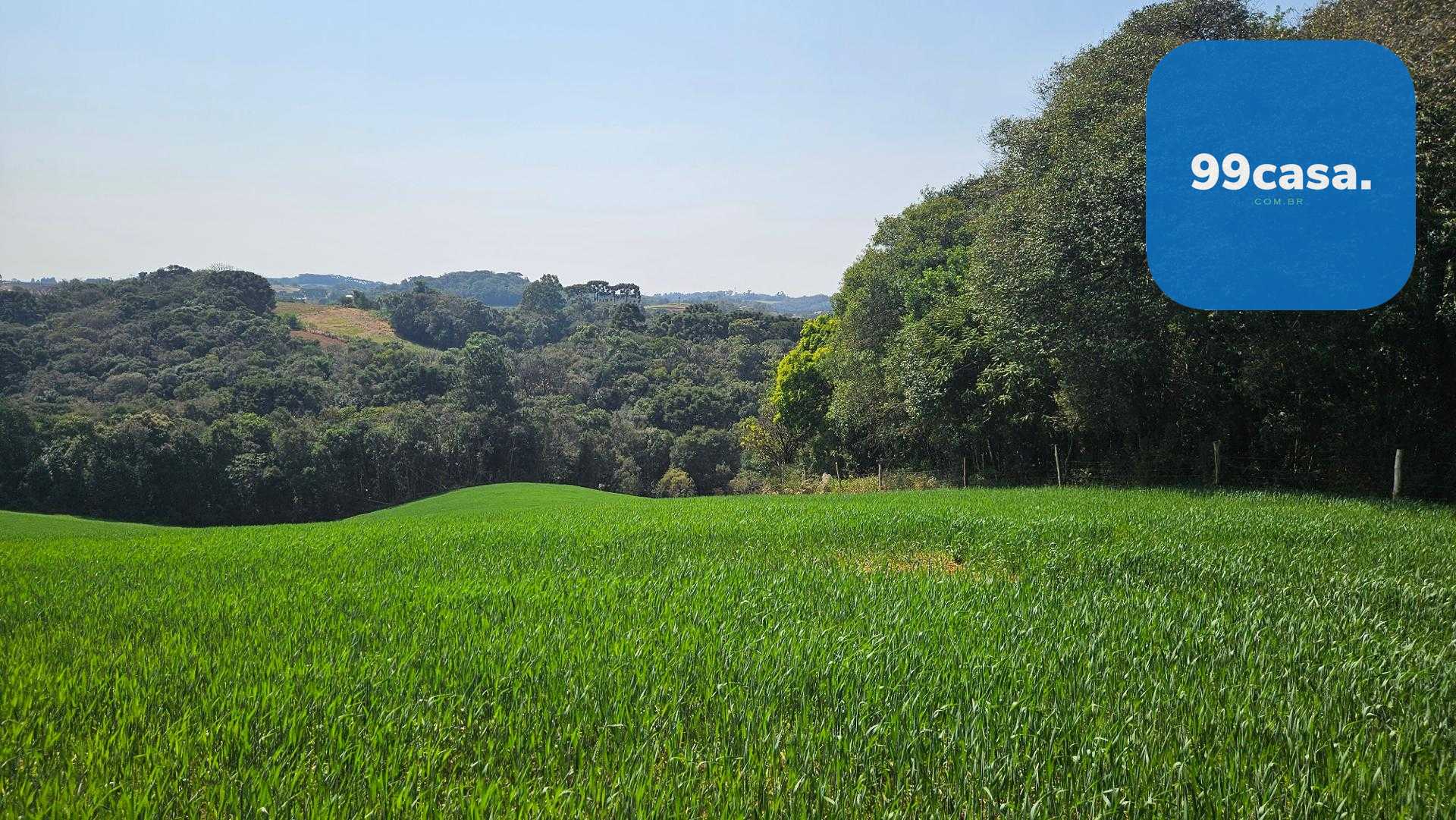 Chácara com 20.000 m  por R 499.000,00  em Araucária  Ótima Op...