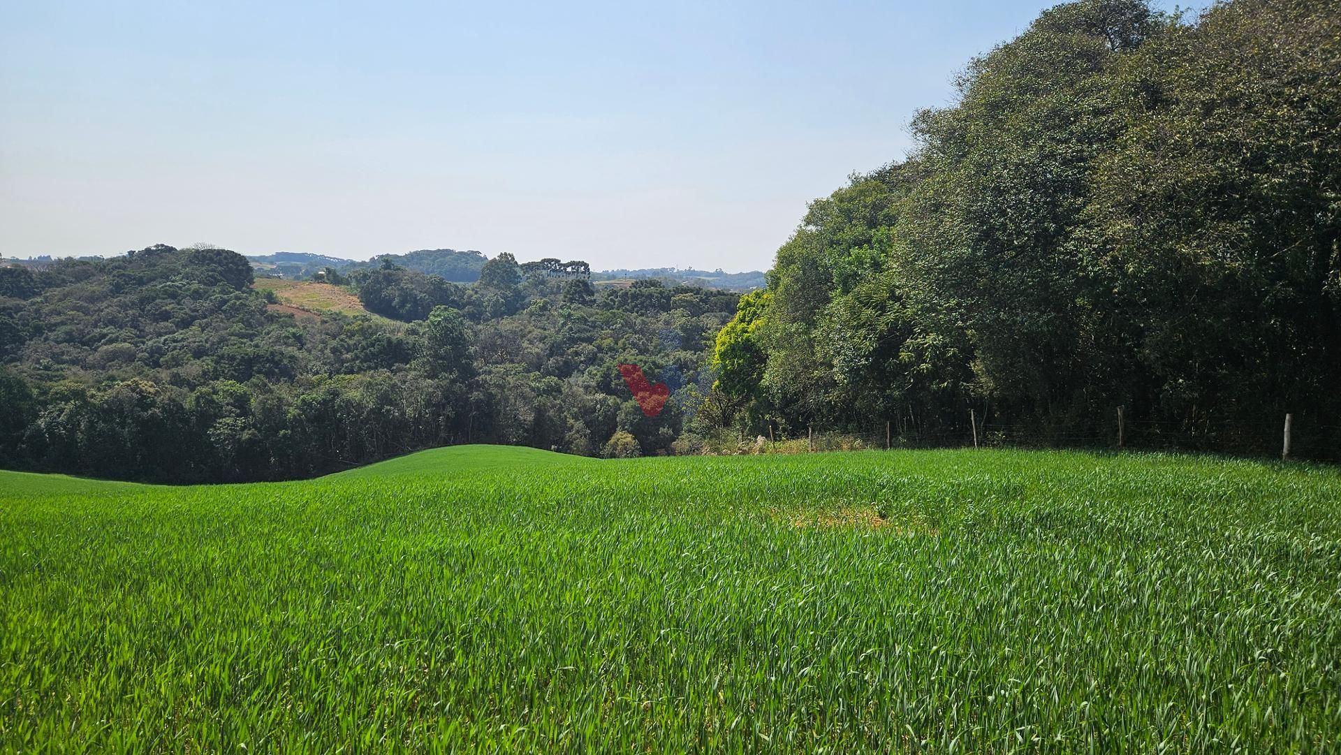Área de 20.000 m  para Chácara Próxima a Araucária  Ótima Opor...