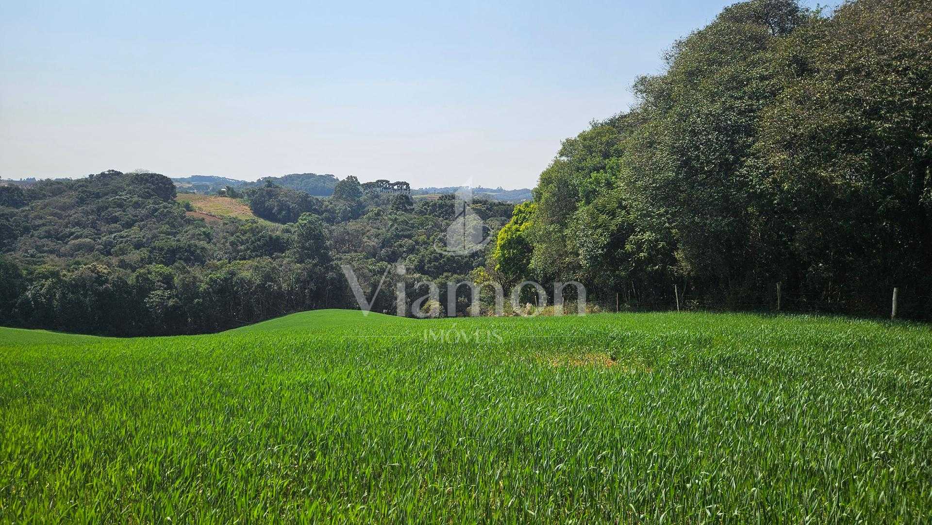 Área de 20.000 m  para Chácara Próxima a Araucária  Ótima Opor...