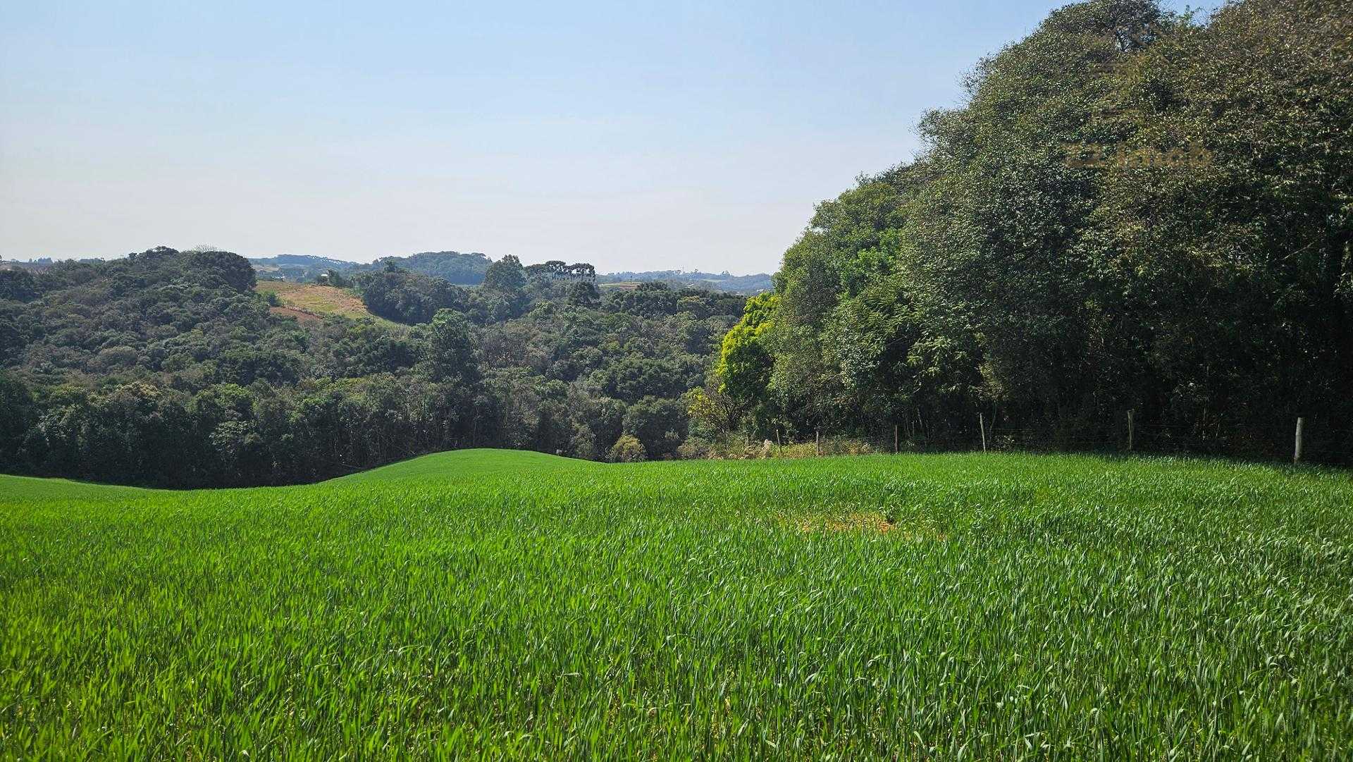 Chácara com 20.000 m  por R 499.000,00  em Araucária  Ótima Op...