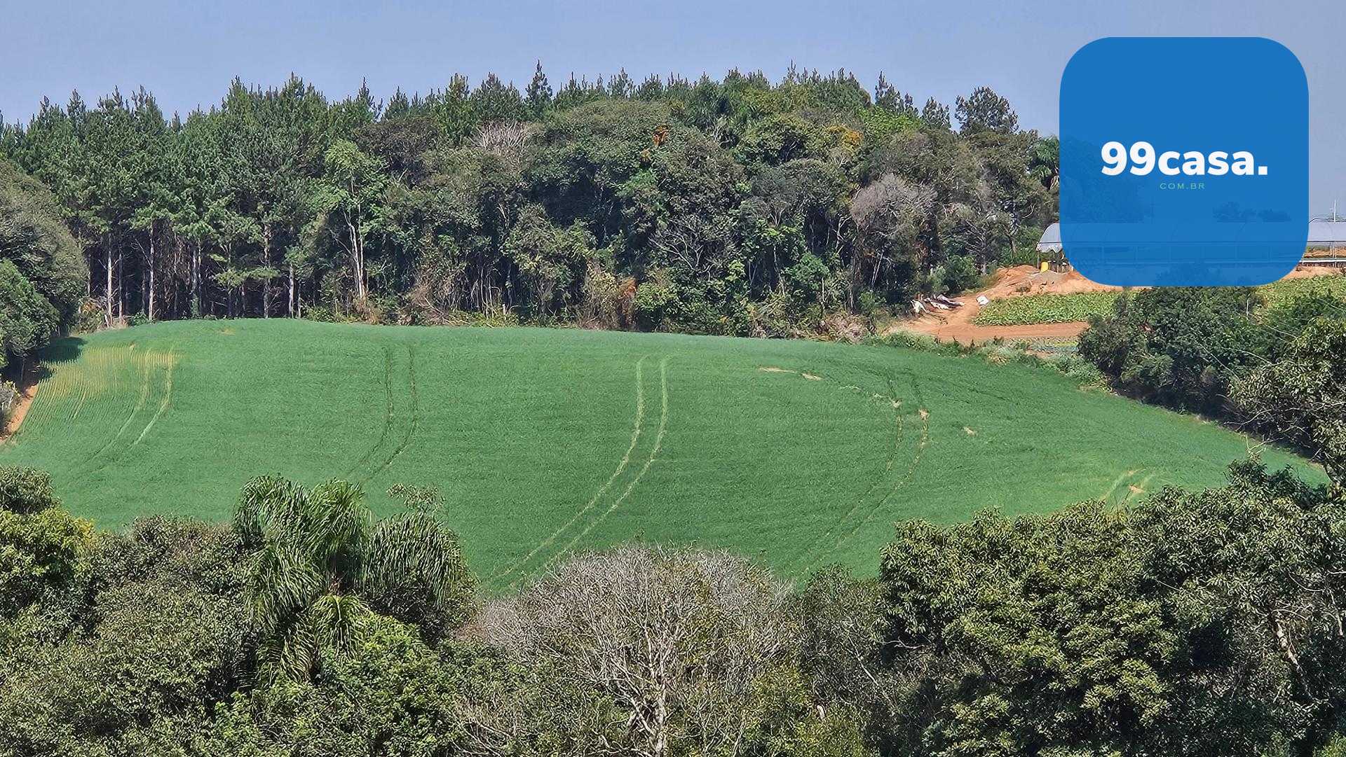 Chácara com 20.000 m  por R 499.000,00  em Araucária  Ótima Op...