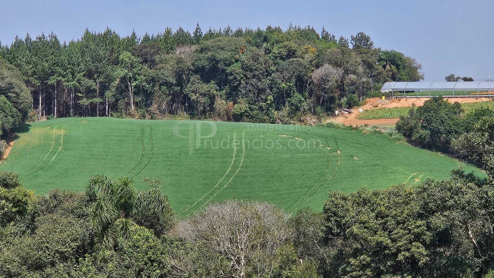 Chácara com 20.000 m  por R 499.000,00  em Araucária  Ótima Op...