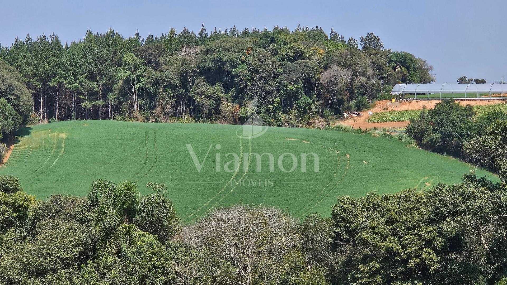 Chácara com 20.000 m  por R 499.000,00  em Araucária  Ótima Op...