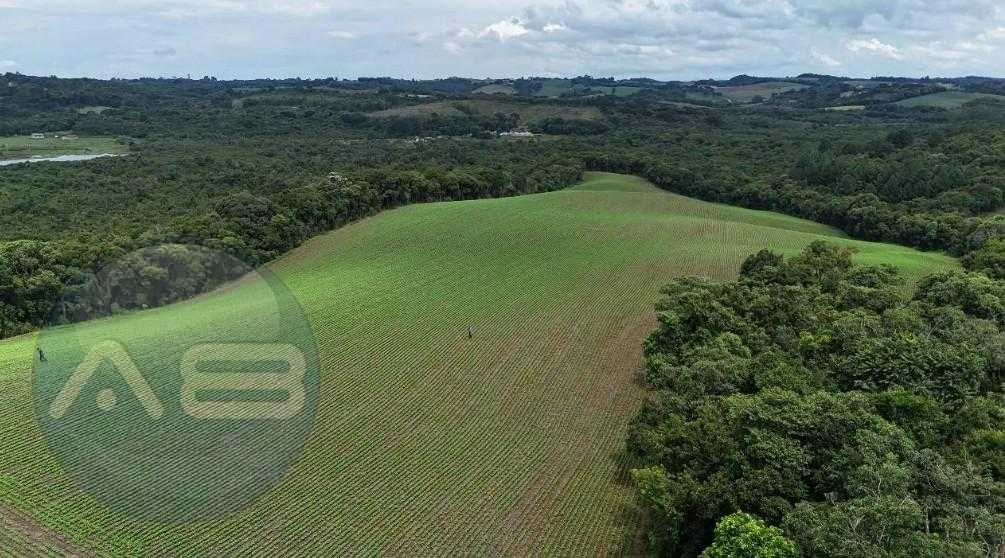 Terreno de 10 Alqueires à Venda em Araucária  Oportunidade Úni...
