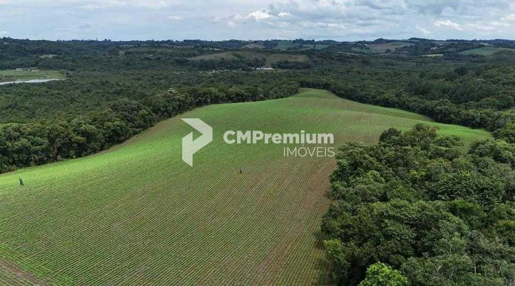 Terreno de 10 Alqueires à Venda em Araucária  Oportunidade Úni...