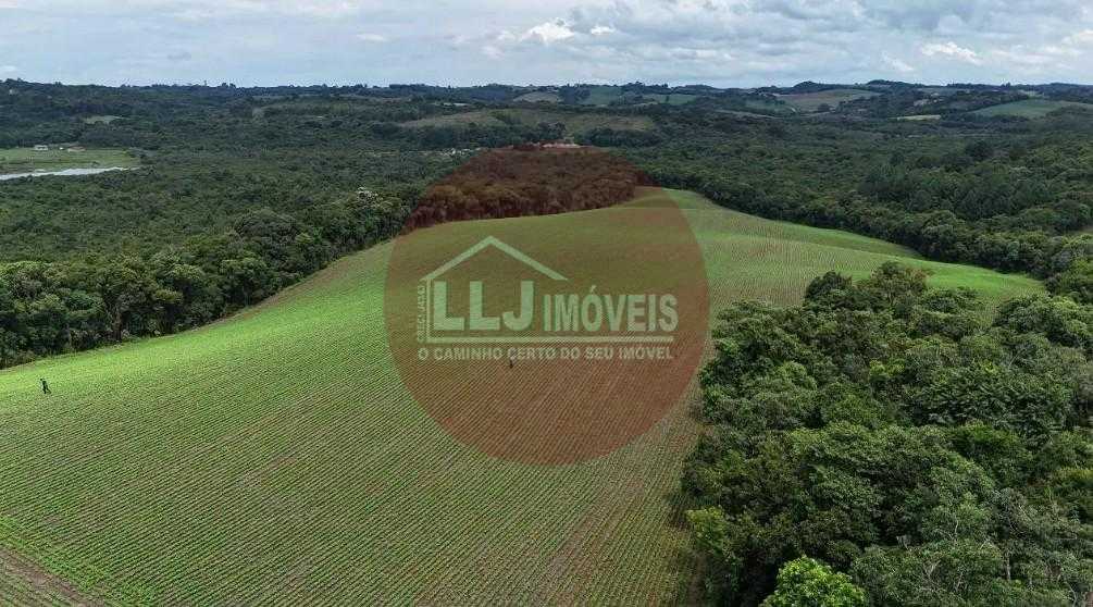 Terreno de 10 Alqueires à Venda em Araucária  Oportunidade Única de Investimento