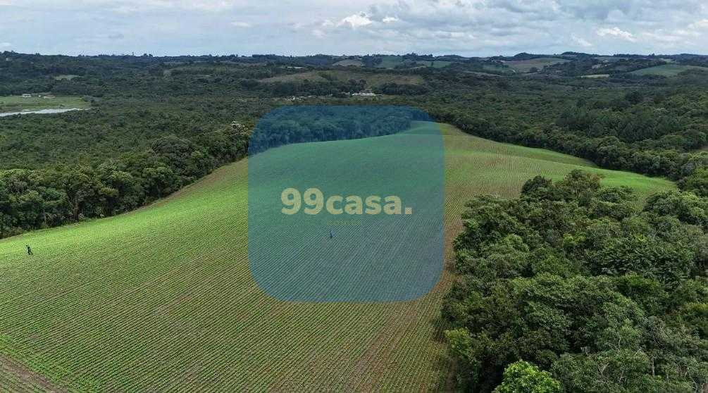 Terreno de 10 Alqueires à Venda em Araucária  Oportunidade Úni...
