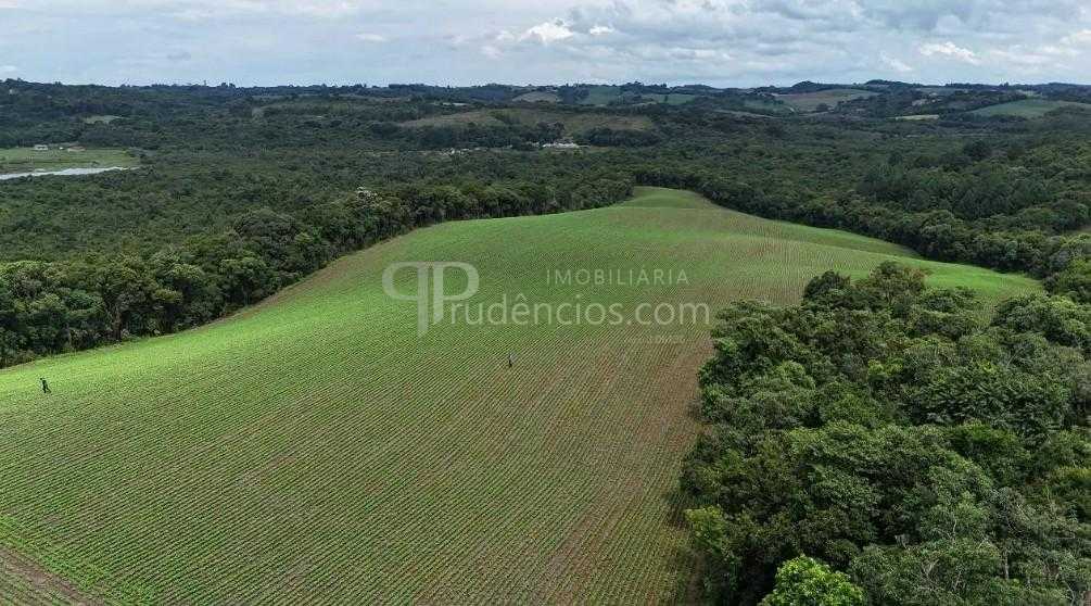 Terreno de 10 Alqueires à Venda em Araucária  Oportunidade Úni...